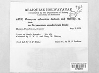 Image Associated With the Occurence